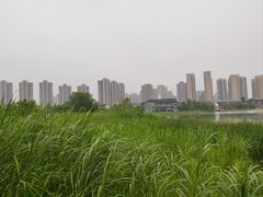 -洋湖国家湿地公园