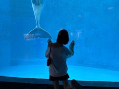 -海合安成都极地海洋公园