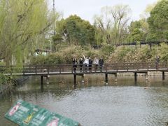 -野生动物园-停车场