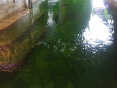 -泉城欧乐堡戏水湾艺术养生温泉