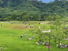 -风云岭森林公园