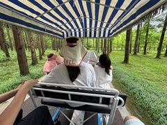 -黄海国家森林公园