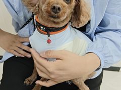 -美联众合动物医院·24h京西诊疗中心
