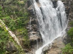 -海南热带雨林国家公园吊罗山景区