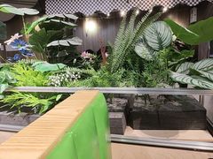 -菌小白·野生菌火锅(时尚天河店)