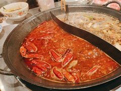 -朱光玉火锅馆(正弘城店)