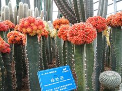 -南山植物园
