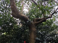 -浙江大学(玉泉校区)