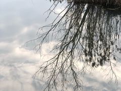 -西湖风景区-江洋畈生态公园