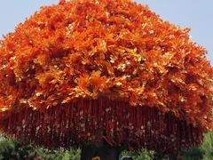 景点-沈阳方特欢乐世界