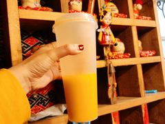 -房子红了鱼豆花重庆老火锅(广厦学院店)
