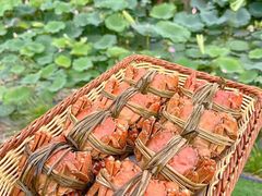 -七的湖·晚芳亭·阳澄湖农家菜·大闸蟹(莲花岛店)