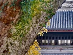-无锡惠山寺