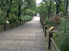 -吴淞炮台湾湿地森林公园烧烤区