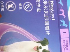 -申普宠物医院·心脏介入·心血管微创(总院)