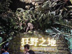 -西湖文化广场
