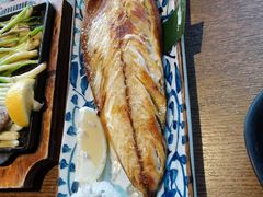 烤青花鱼-九州酒场ひこぞう(1号店)
