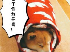-集草轩·重庆麻辣烤鱼(西湖道店)