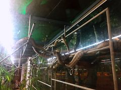 -荔城生鲜盛宴(番禺旗舰店)