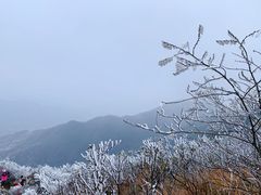 -金子山原生态旅游风景区