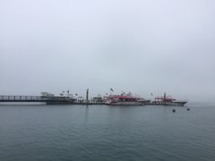 -伊达邵码头(德化社码头)