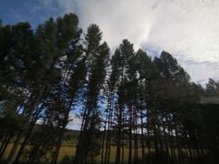 -塞罕坝国家级自然保护区