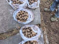 -山王坪喀斯特国家生态公园