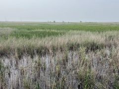 -野鸭湖国家湿地公园