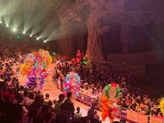 -广州长隆国际大马戏