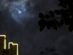 -聚龙小镇