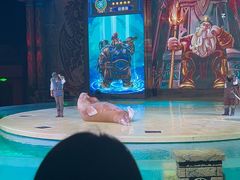 -哈尔滨波塞冬海底世界