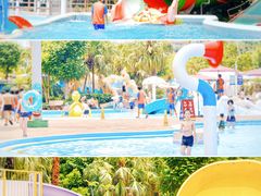 -重庆海昌加勒比海水世界