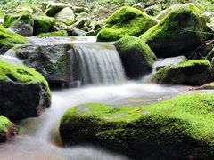 -青峰峡国家森林公园