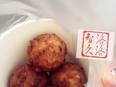 扬州狮子头-夏氏怪老头·扬州狮子头(天山西路店)