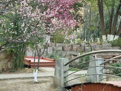 -月湖风景区