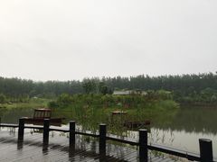 -合肥滨湖国家森林公园