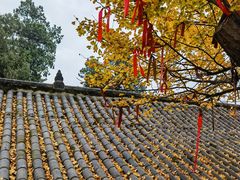 -金堂县云顶石城风景区