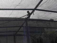 -青藏高原野生动物园