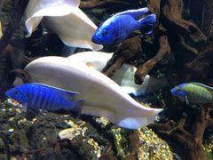 -华夏文旅海洋公园