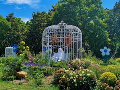 -上海共青森林公园