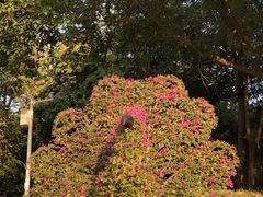 -广州雕塑公园