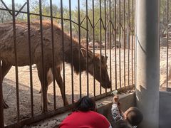 -石家庄市动物园