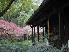 -杭州植物园