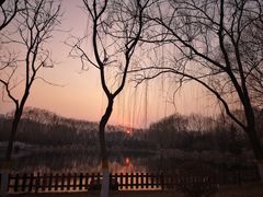 -东升八家郊野公园