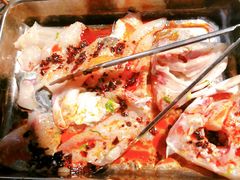 水库花鲢-味当家鱼头火锅.•甲鱼料理(金沙店)