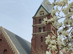 -俏江南天津时尚曲艺主题餐厅(马场道店)