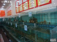 水产区-海岛渔村大酒店(云霄路店)