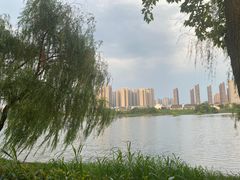 -洋湖国家湿地公园