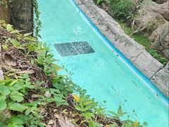 -亚马逊丛林水乐园