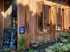 -YLK云南小粒咖啡·云里咖(二号店)